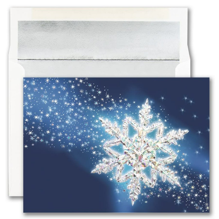 Greeting Cards * | Best Pirce Jam Paper Single Snowflake Blank Christmas Cards & Envelopes Set